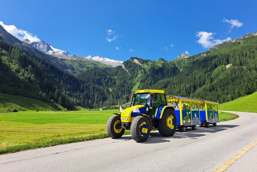 Panoramazug Kurt der Gletscherwurm vor einer sommerlichen Wiese mit Bergkulisse.
